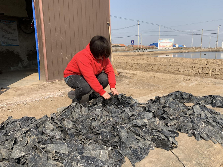 女工1.png 女工1.png